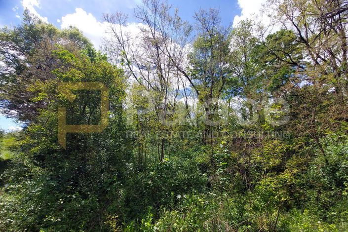 Image No.5-Plot for sale
