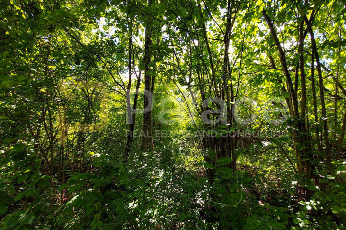Image No.6-Plot for sale