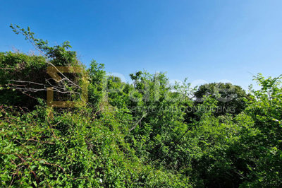 suncano-zemljiste-s-pogledom-na-more-kraljevica-381m_4
