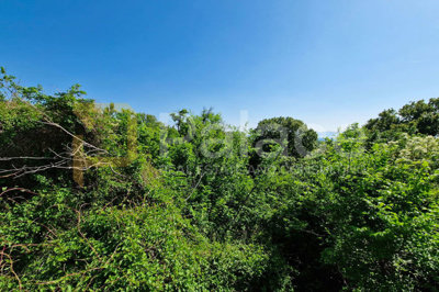 suncano-zemljiste-s-pogledom-na-more-kraljevica-381m_5
