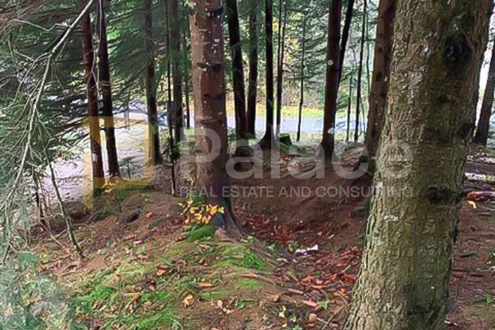 Image No.2-Plot for sale