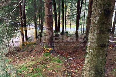 priroda-i-mir-zemljiste-uz-potok-hlevci-gorski-kotar-2363-m_2