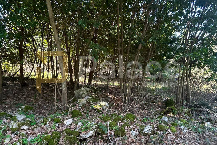 Image No.17-Plot for sale