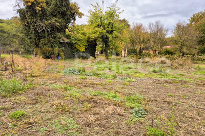 zagreb-granesina-veliko-zemljste-4450m2-sa-kucom-i-pomocnim_5