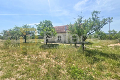 kuca-prizemnica-velikog-potencijala-na-terenu-3000-m2_5