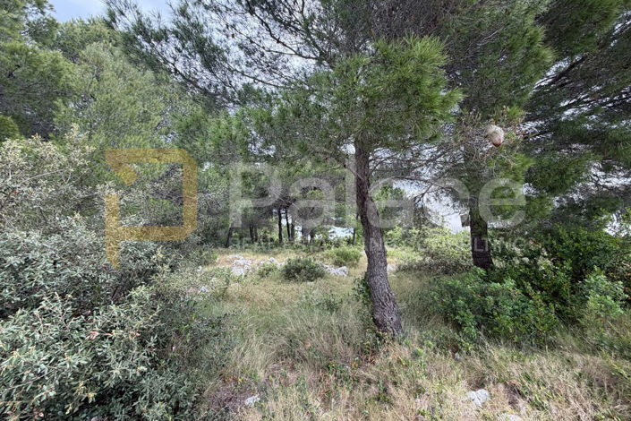 Image No.2-Plot for sale