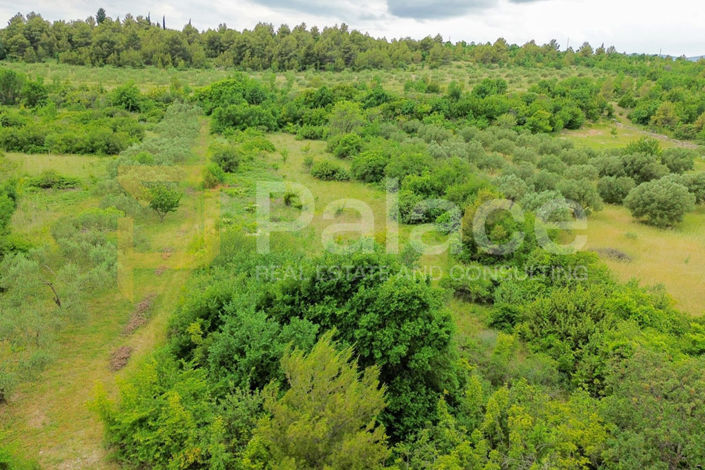 Image No.3-Land for sale