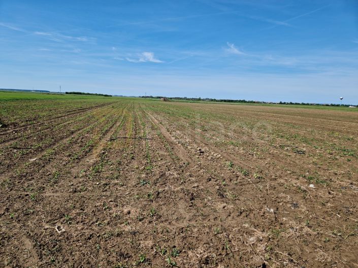 Image No.2-Land for sale