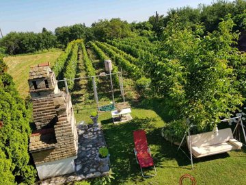 prodaja-vikendice-s-vinogradom-dalj-planina_10