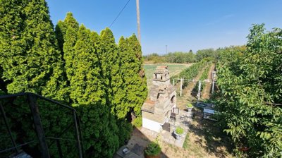 prodaja-vikendice-s-vinogradom-dalj-planina_8