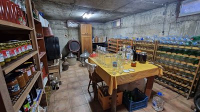 prodaja-kuce-s-vinogradom-dalj-planina_10