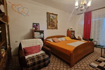 prodaja-kuce-s-vinogradom-dalj-planina_3