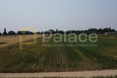 1 - Osijek-Baranja, Terre