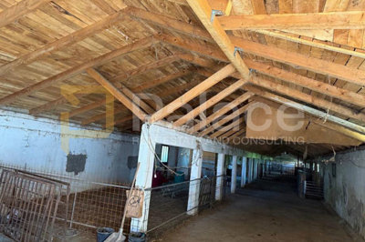 imanje-s-registriranom-farmom-i-stambenim-prostorom-17500m2_6