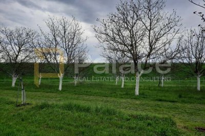 vocnjak-poljoprivredno-zemljiste-petrijevci-10500m2-prilika_11