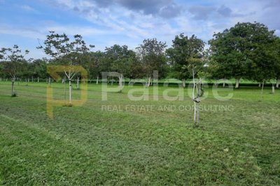 vocnjak-poljoprivredno-zemljiste-petrijevci-10500m2-prilika_8