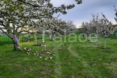 vocnjak-poljoprivredno-zemljiste-petrijevci-10500m2-prilika_9