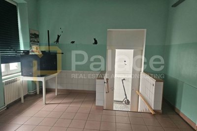 kuca-s-poslovnim-prostorom-u-sirem-centru-osijeka-289-m2_3