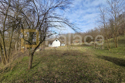 kuca-s-velikim-zemljistem-i-vinogradom-savrseno-za-ruralni_2