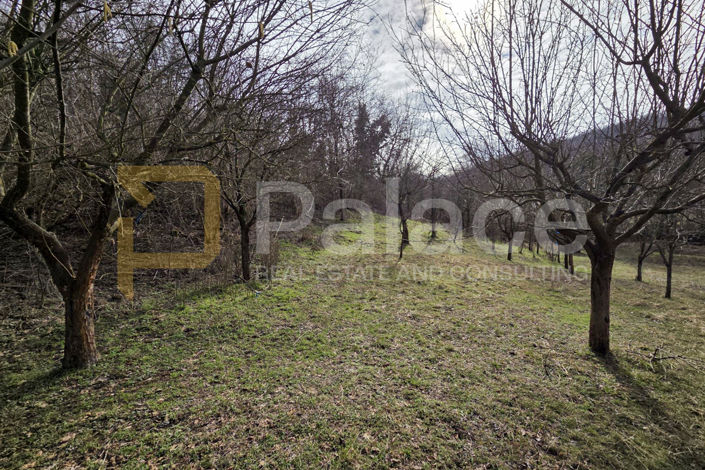Image No.3-Plot for sale