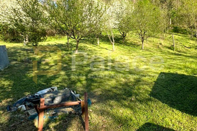 kuca-s-velikim-zemljistem-i-vinogradom-savrseno-za-ruralni_4