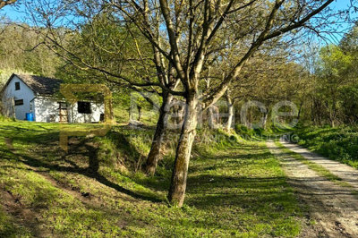 kuca-s-velikim-zemljistem-i-vinogradom-savrseno-za-ruralni_7