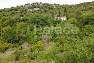 gradjevinsko-zemljiste-500-m-dubrava-peljesac_5