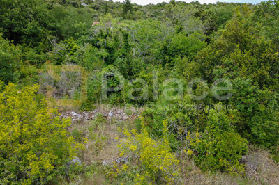 gradjevinsko-zemljiste-500-m-dubrava-peljesac_6