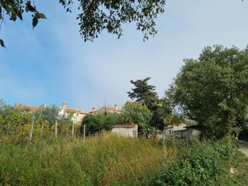 zemljiste-933m2-sa-starinom-prikljucak-za-struju-i-vodu_1