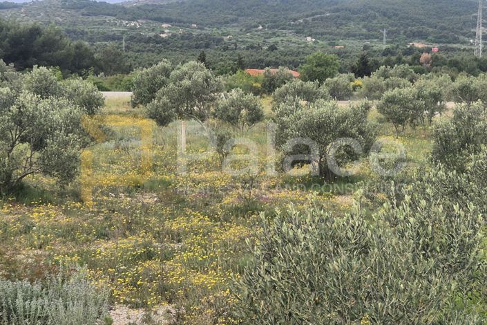 Image No.3-Land for sale