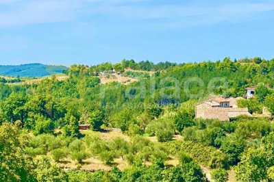 gradjevinsko-zemljiste-s-panoramskim-pogledom-2257-m_3