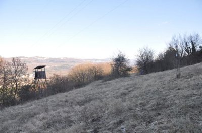 istra-okolica-buzeta-gradjevinsko-poljoprivredno-zemljiste_2