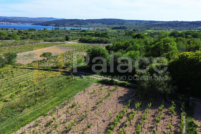 Image No.2-Land for sale