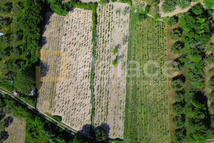 Image No.4-Land for sale