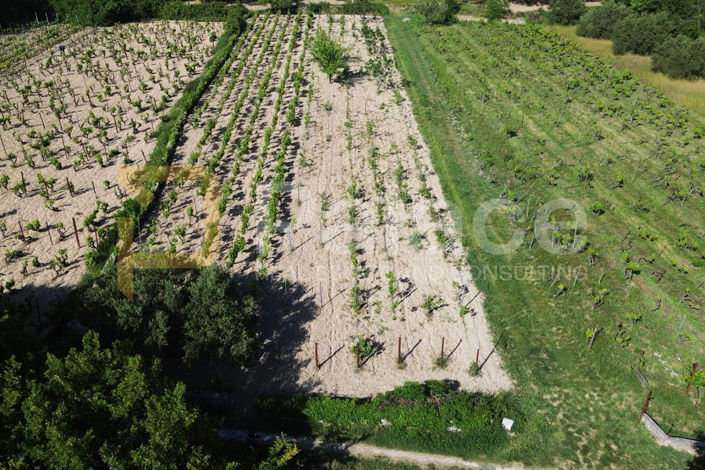 Image No.5-Land for sale