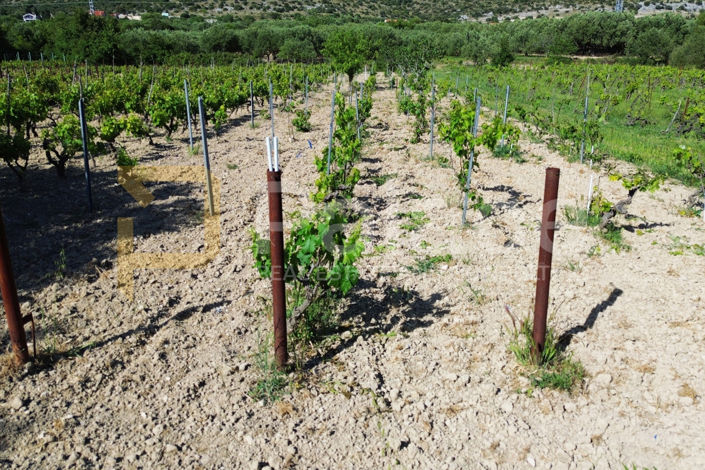 Image No.6-Land for sale