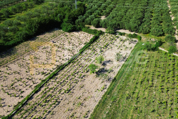Image No.8-Land for sale