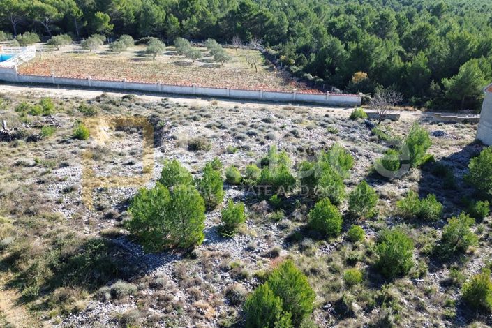 Image No.3-Plot for sale