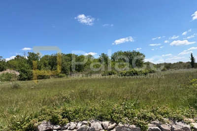 gradjevinsko-zemljiste-povrsine-996-m2-velika-glava_4