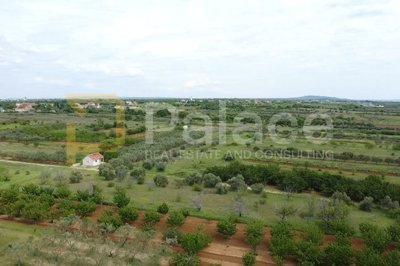 poljoprivredno-zemljiste-5466-m2_3