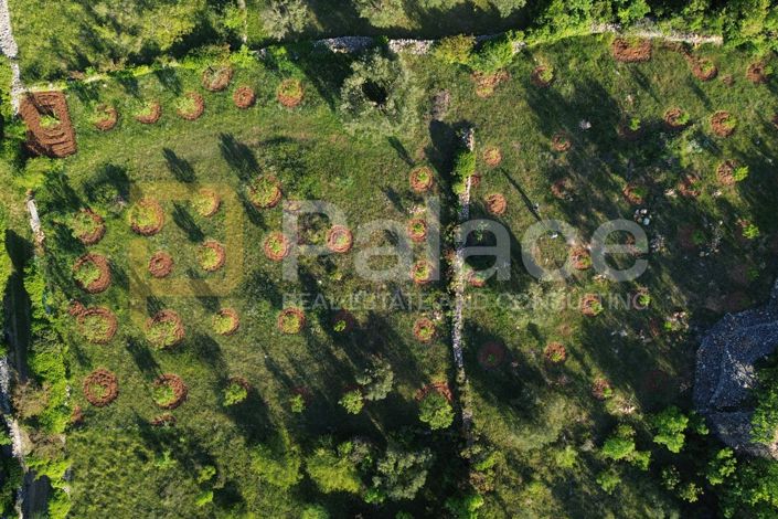Image No.2-Plot for sale