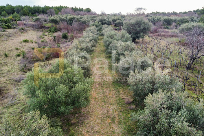 Image No.2-Land for sale