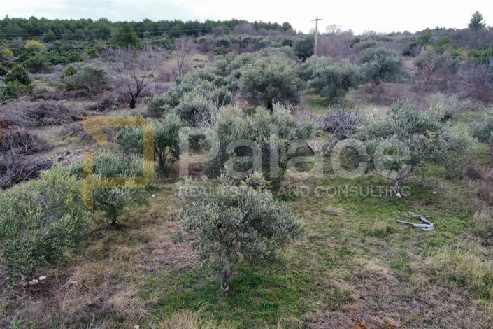 Image No.3-Land for sale