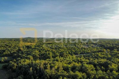rijetka-ponuda-8000-m-investicijskog-zemljista-u-okolici_2