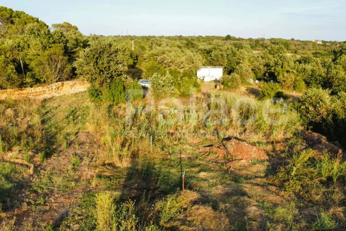 Image No.4-Plot for sale