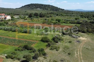 debeljak-atraktivno-zemljiste-2255-m2_6