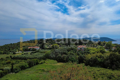 gradjevinsko-zemljiste-u-orascu_2