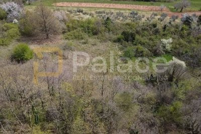 tri-zemljista-u-okolici-barbana-2-gradjevinska-i-1_6