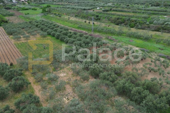 Image No.2-Land for sale