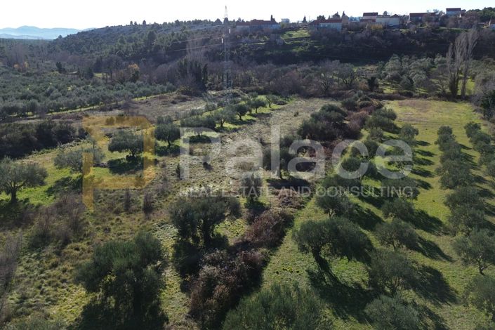 Image No.2-Land for sale